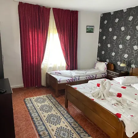Gasthof Pensiunea Jenica *