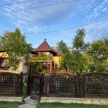 Gasthof Pensiunea Jenica